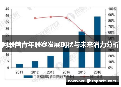 阿联酋青年联赛发展现状与未来潜力分析 阿联酋青年联赛发展现状与未来潜力分析
