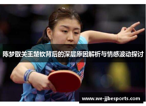 陈梦取关王楚钦背后的深层原因解析与情感波动探讨